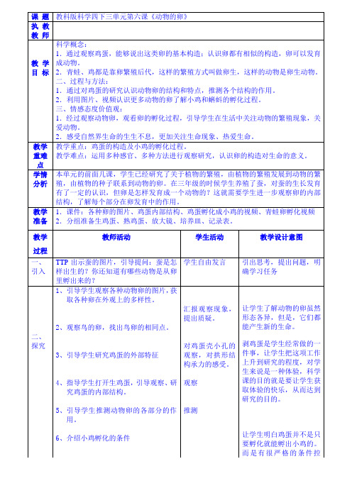 小学科学《动物的卵》教案