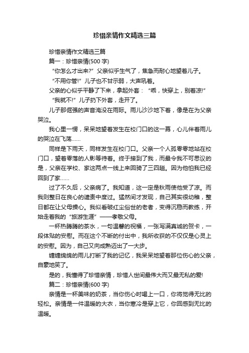 珍惜亲情作文精选三篇