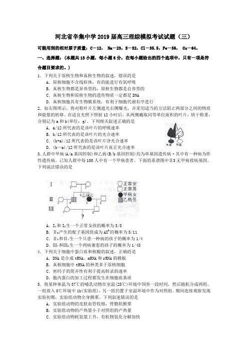 河北省辛集中学2019届高三理综模拟考试试题(三)