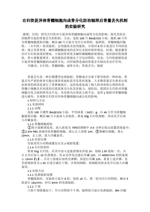 右归饮促异体骨髓细胞向成骨分化防治辐照后骨量丢失机制的实验研究