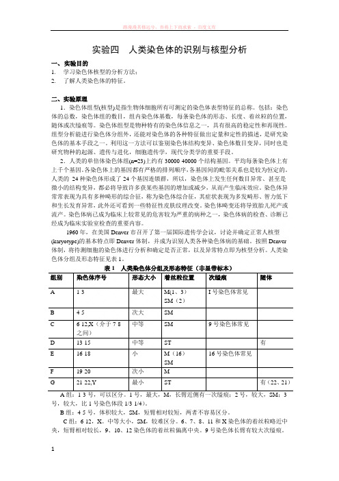 实验四人类染色体的识别与核型分析 (1)