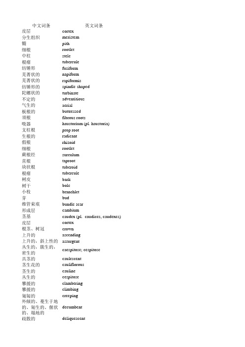 植物学名词中英对照
