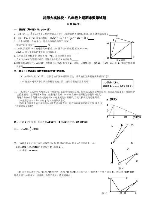 成都市八年级上数学期末试卷B卷题型汇总资料