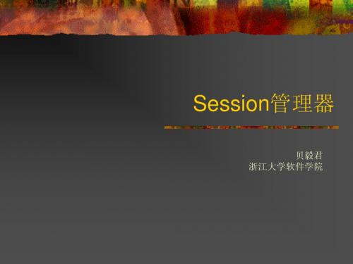 8.session管理器