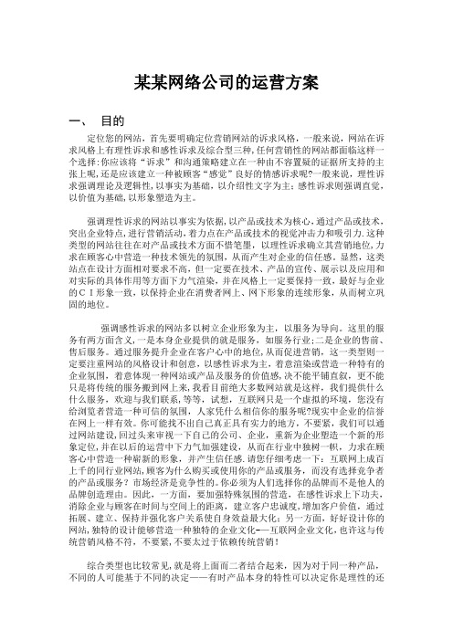 某某网络公司的运营方案