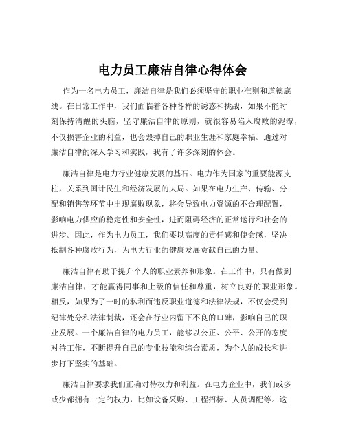 电力员工廉洁自律心得体会