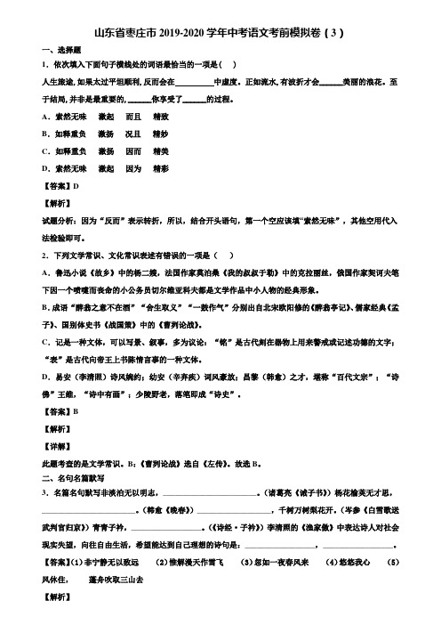 山东省枣庄市2019-2020学年中考语文考前模拟卷(3)含解析