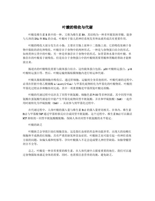 叶酸的吸收与代谢