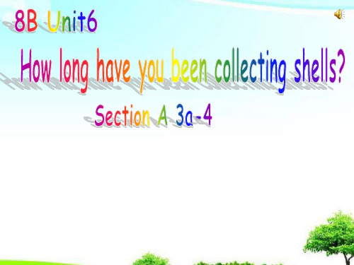 中小学优质课件How long have you been collecting shell课件.ppt