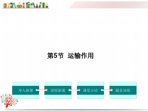 【北师大版适用】七年级初一生物上册《运输作用》课件