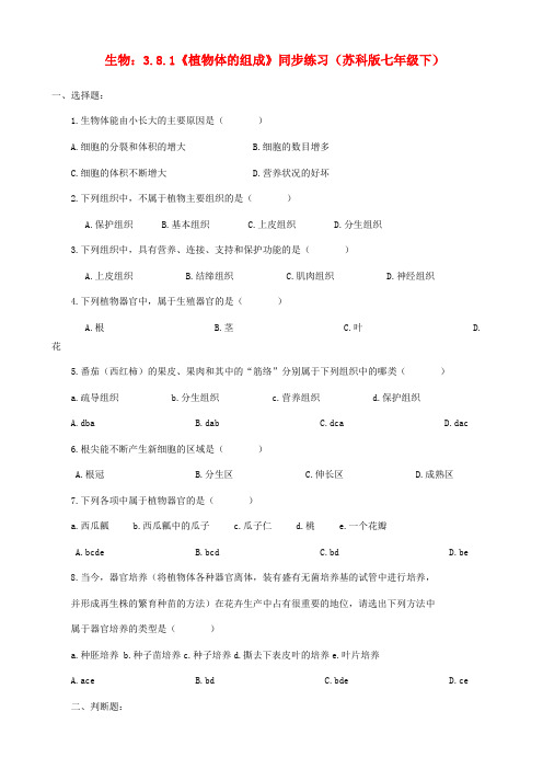 七年级生物下册 3.8.1《植物体的组成》同步练习 苏科版