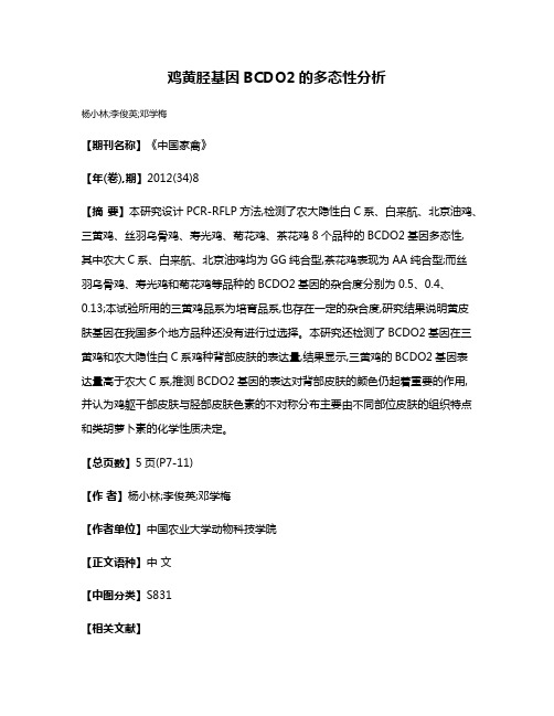 鸡黄胫基因BCDO2的多态性分析