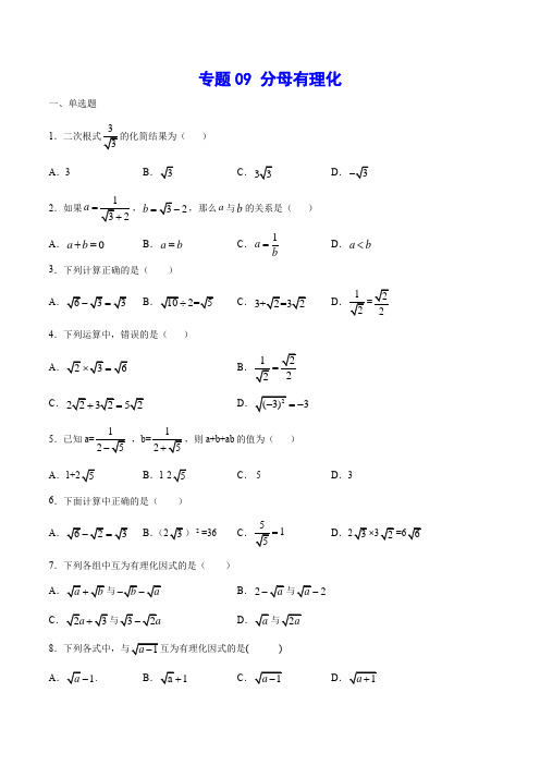 专题09 分母有理化(原卷版)