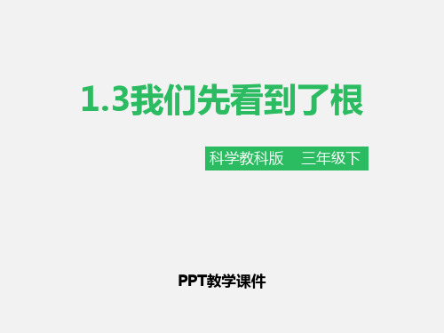 2我们先看到了根PPT课件