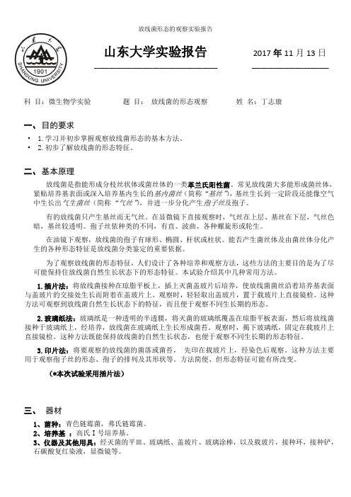 放线菌形态的观察实验报告