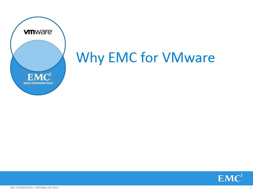 EMCVNX虚拟化方面的优势补充材料精讲