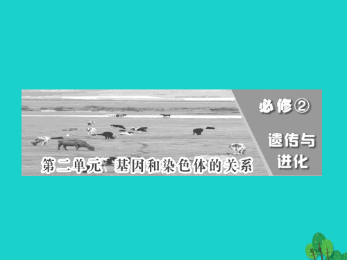 高中生物减数分裂和受精作用省公开课一等奖新名师优质课获奖PPT课件