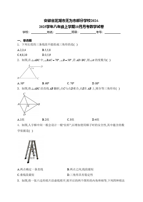 安徽省芜湖市无为市部分学校2024-2025学年八年级上学期10月月考数学试卷(含详解)