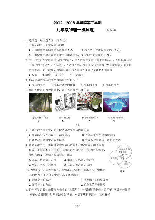 2013年春学期xhaf九年级物理一模试题