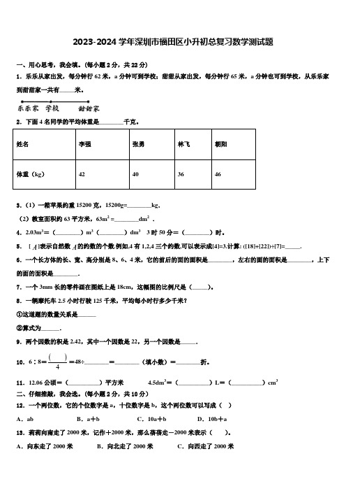 2023-2024学年深圳市福田区小升初总复习数学测试题含解析