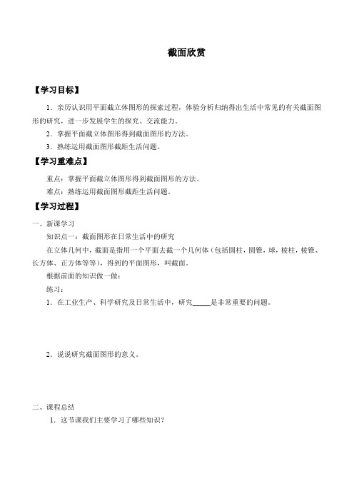 北师大版高中数学选修4-1  2.1截面欣赏_学案设计1(无答案)