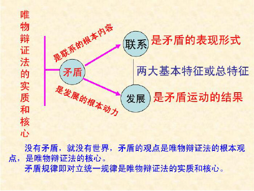 矛盾观主观题精选