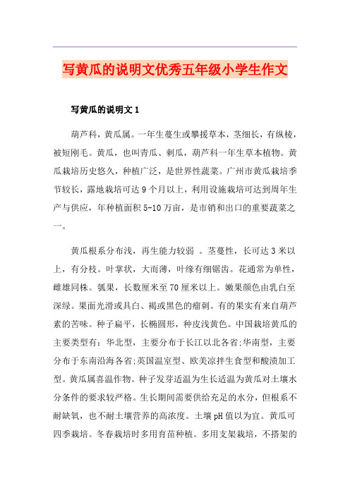 写黄瓜的说明文优秀五年级小学生作文