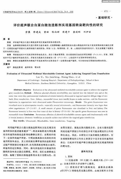 评价超声联合白蛋白微泡造影剂实现基因转染靶向性的研究