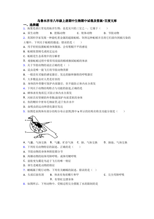 乌鲁木齐市八年级上册期中生物期中试卷及答案-百度文库