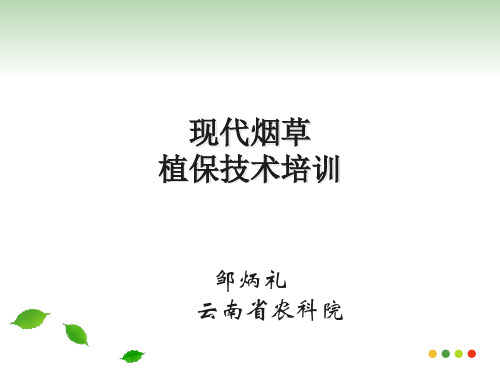 现代烟草植保技术培训lu