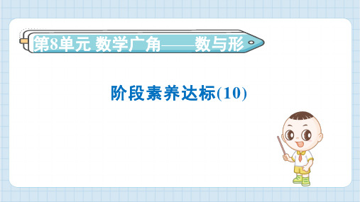 2024年人教版六年级上册数学第8单元阶段素养达标训练(10)