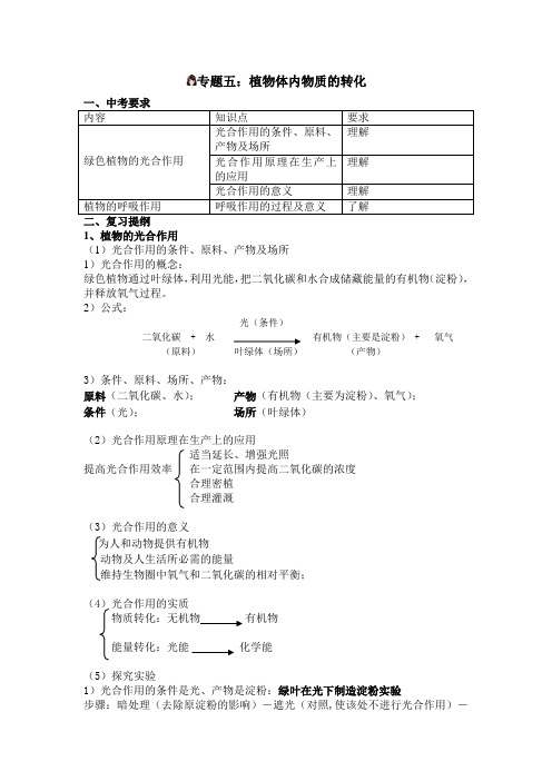 专题五六七八