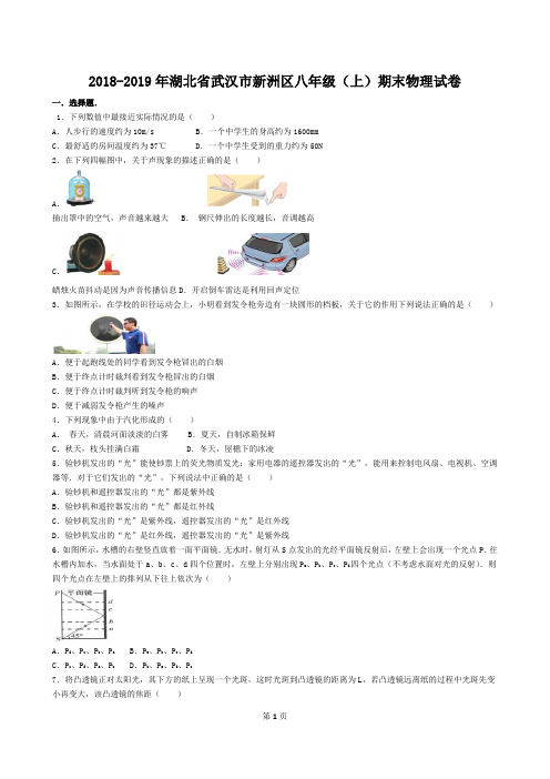 2018-2019年湖北省武汉市新洲区八年级(上)期末物理试卷及答案