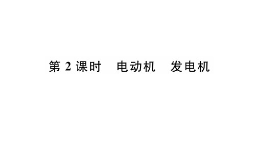 2020年  物理中考第一轮复习   中考王考点精讲 (18)