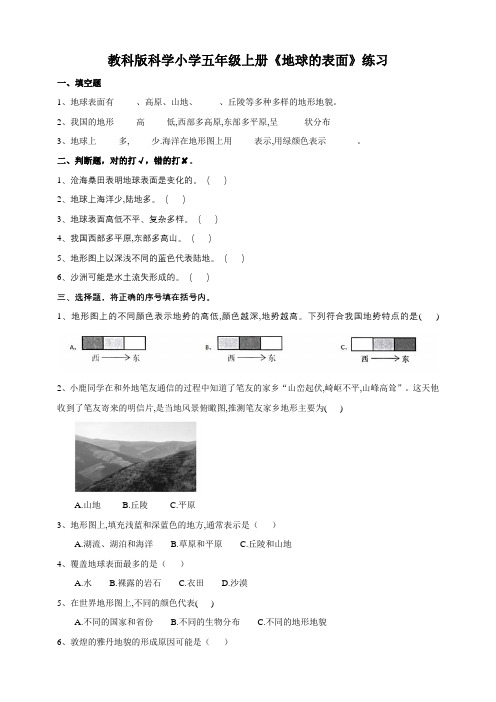 教科版科学小学五年级上册《地球的表面》练习