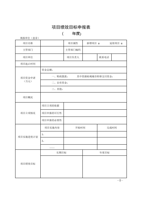 项目绩效目标申报表模板---精品管理资料