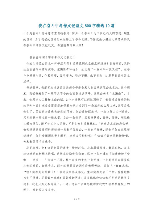 我在奋斗中考作文记叙文800字精选10篇