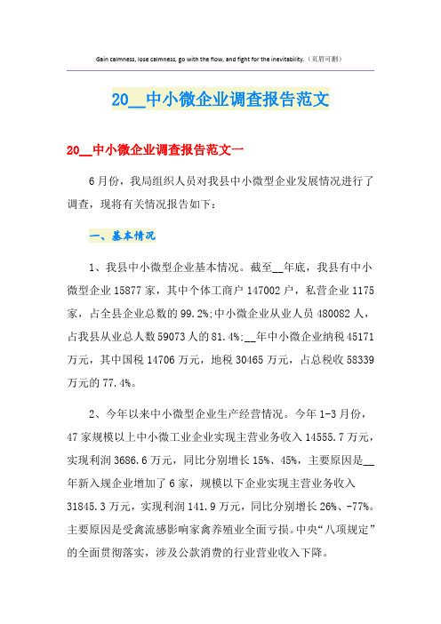 中小微企业调查报告范文