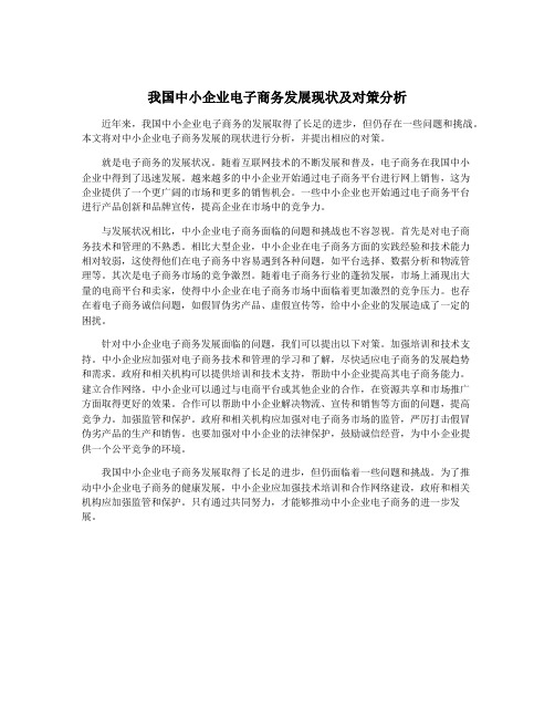 我国中小企业电子商务发展现状及对策分析