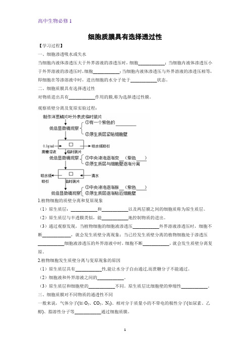 2.3.1 细胞质膜具有选择透过性学案高一上学期生物苏教版(2019)必修第一册