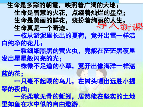 最新人教版初中七年级初一语文上册18《短文两篇》ppt课件1精品课件