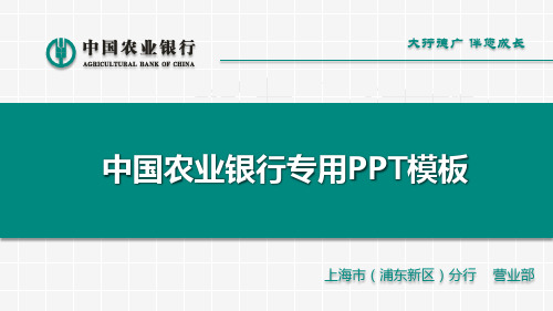 农业银行1总结汇报PPT模板