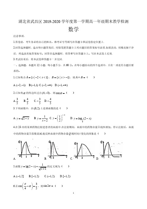 湖北省武汉市武昌区2019-2020学年高一上学期期末考试数学试题及答案