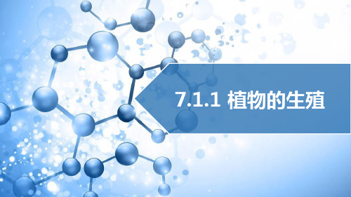 植物的生殖教学ppt课件