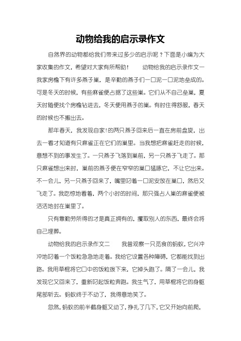 动物给我的启示录作文