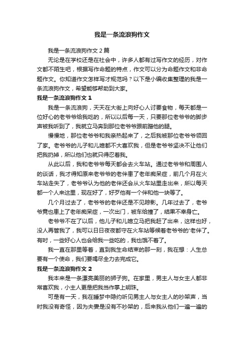 我是一条流浪狗作文