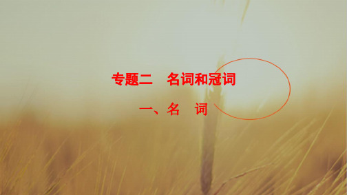 2019版高三英语一轮课件:第二部分 专题二 一、名 词 精品