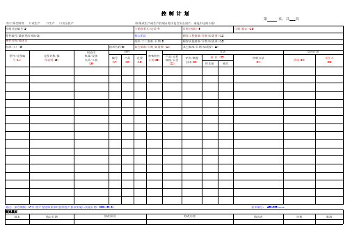 新控制计划模板(2024版)