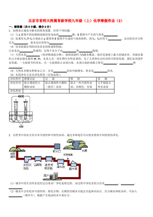 北京市首师大附属育新学校九年级化学上学期寒假作业(2) 新人教版