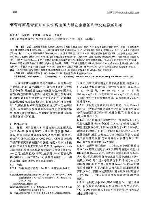 葡萄籽原花青素对自发性高血压大鼠左室重塑和氧化应激的影响